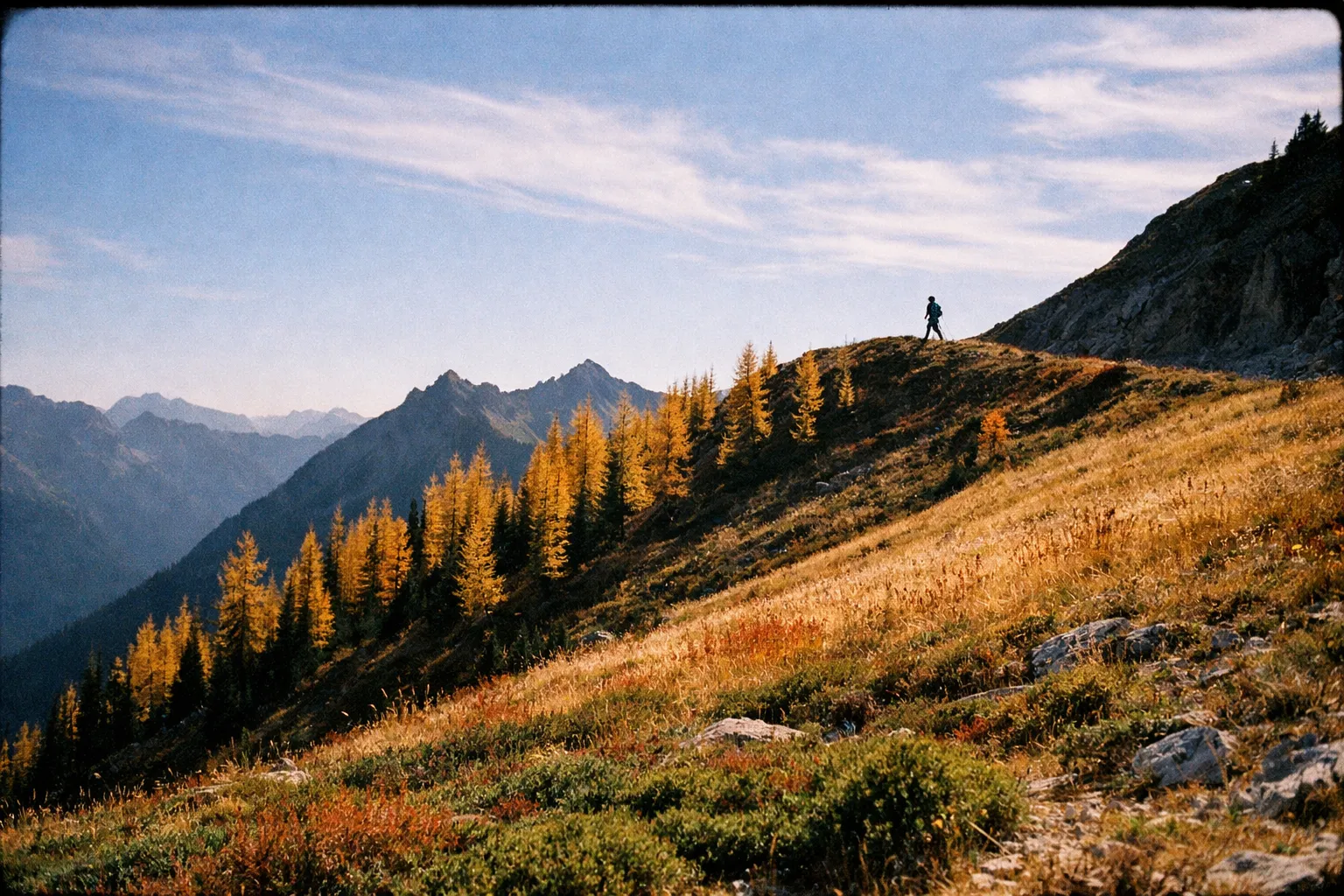 Golden larches on Maple Pass ridge with a distant hiker silhouette crossing the ridge