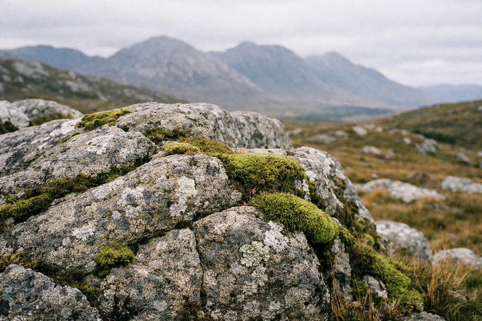 Rocky terrain with moss in the foreground and mountains in Connemara National Park, Ireland in the distance.