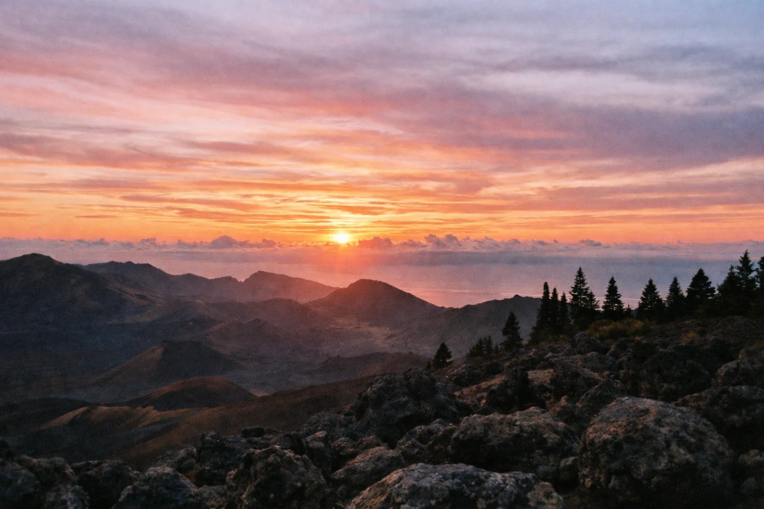 Sunrise over Haleakalā crater with pine silhouettes along the rim.