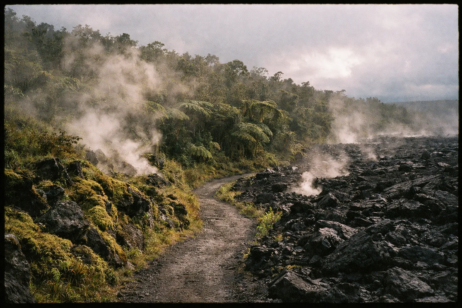 Hawaii Volcanoes National Park rainforest and lava landscape.