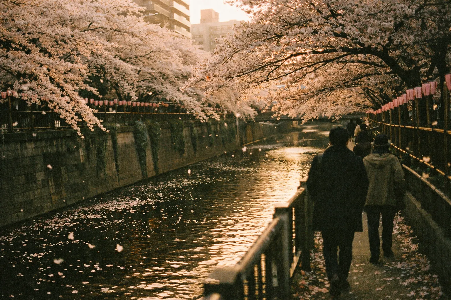 Meguro River in Tokyo during peak bloom; cherry trees arch over the canal, water reflects petals, silhouettes of walkers seen from behind.