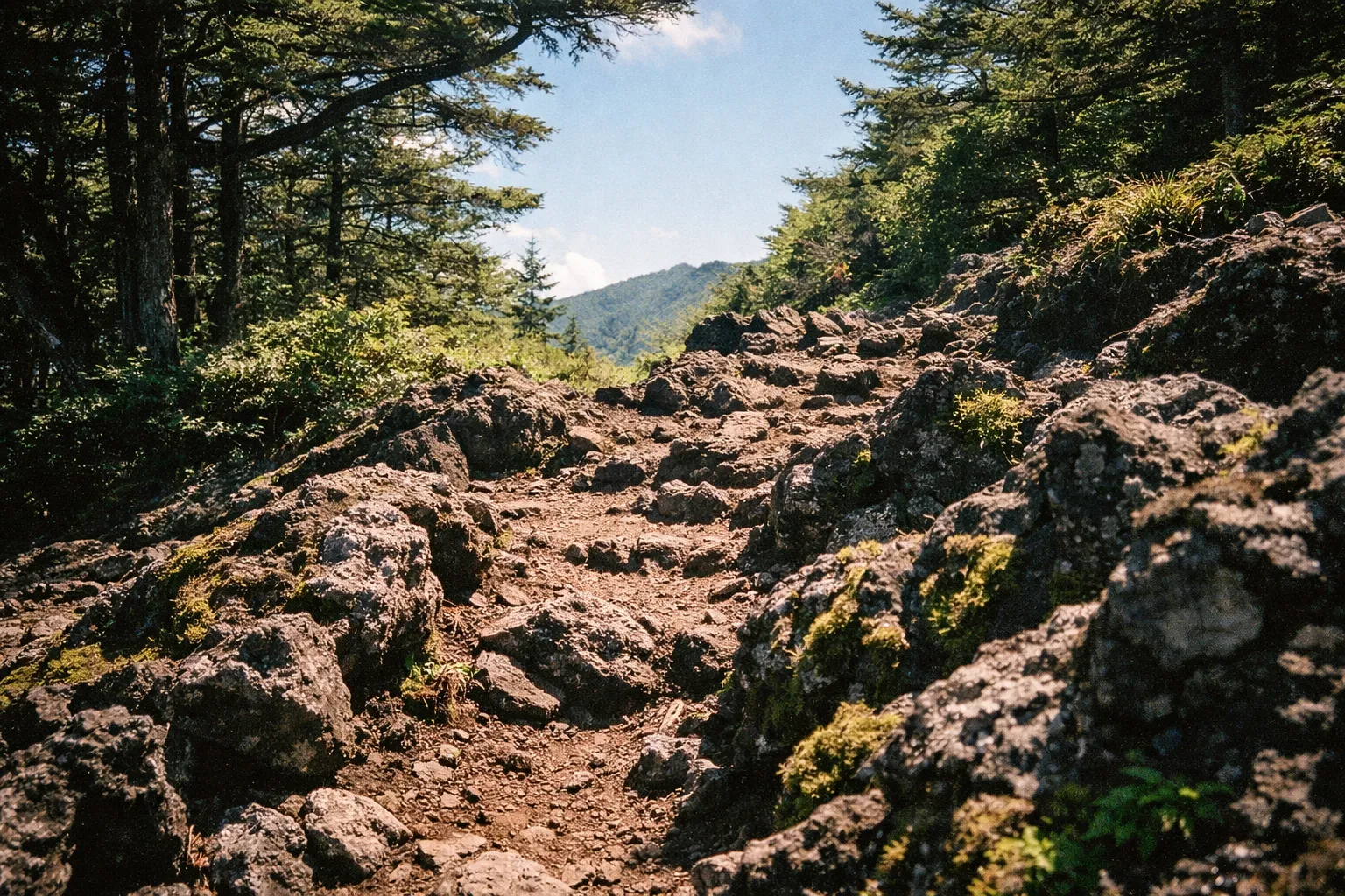 A rocky hiking trail winds upward through forested slopes on Mount Fuji under a clear sky.