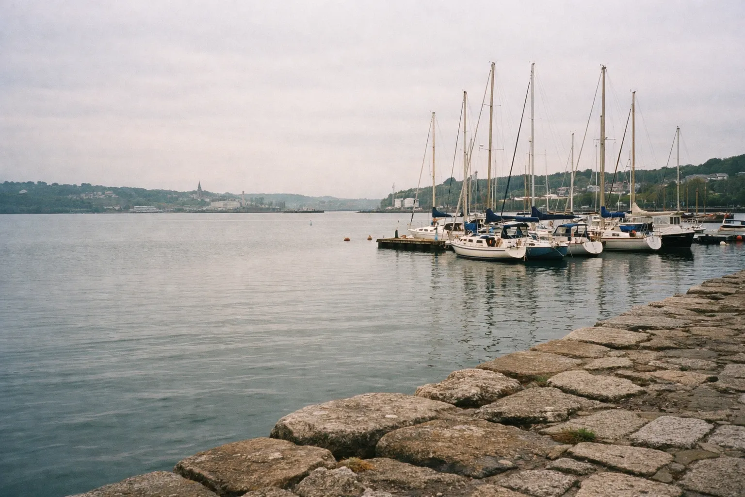 Sailboats are docked at a marina beside a stone walkway on Cork Harbour, with a town visible across the water.
