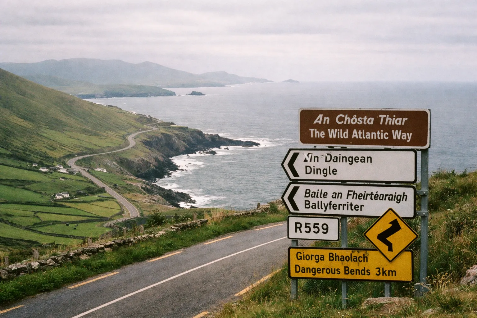 A winding coastal road in Ireland with signs for the Wild Atlantic Way, Dingle, and Ballyferriter overlooking the sea.