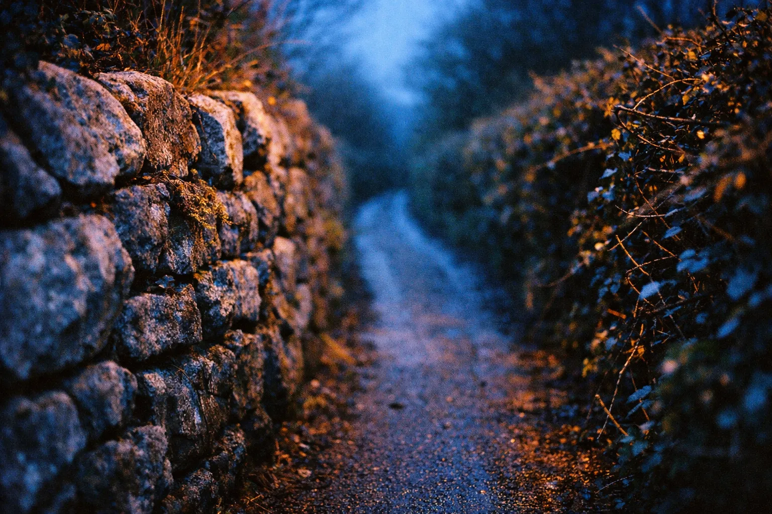A narrow rural lane winds between a stone wall and thick hedges at dusk.