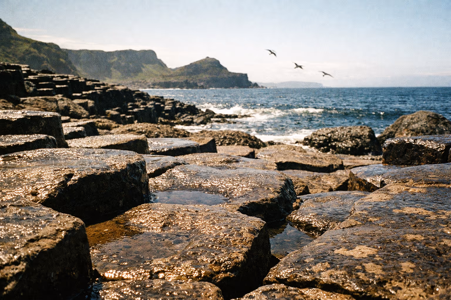 Basalt columns of the Giant's Causeway meet the sea with cliffs and birds in the background.