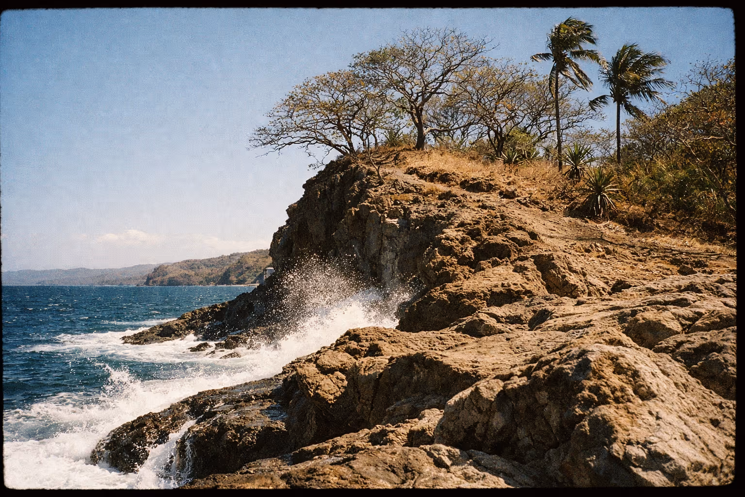 Waves crash against a rocky coastline with sparse trees and palm trees on the bluff above.
