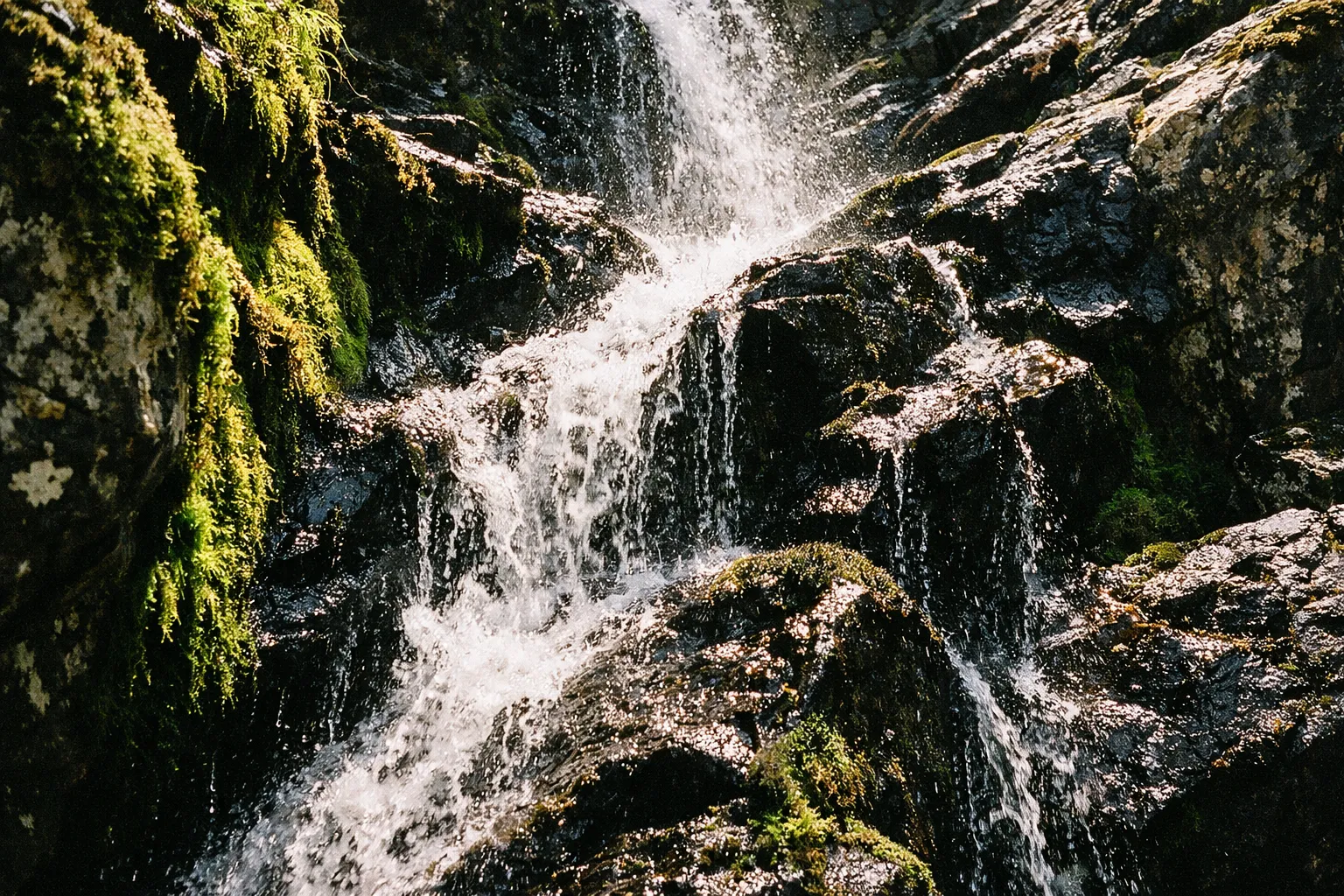 Water cascades down mossy rocks in a natural setting.