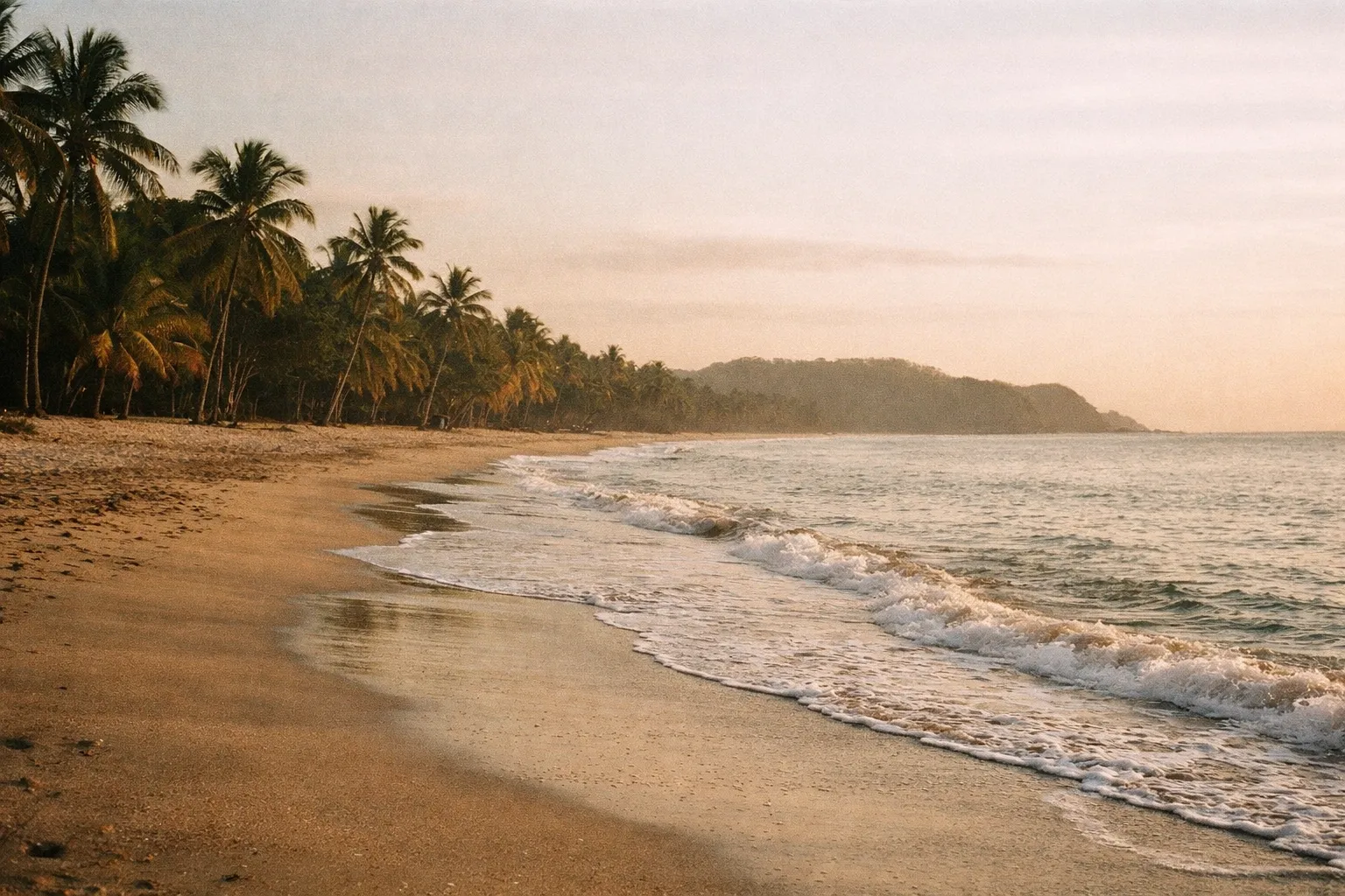 Long, empty Guanacaste beach at golden hour with palm trees along the edge