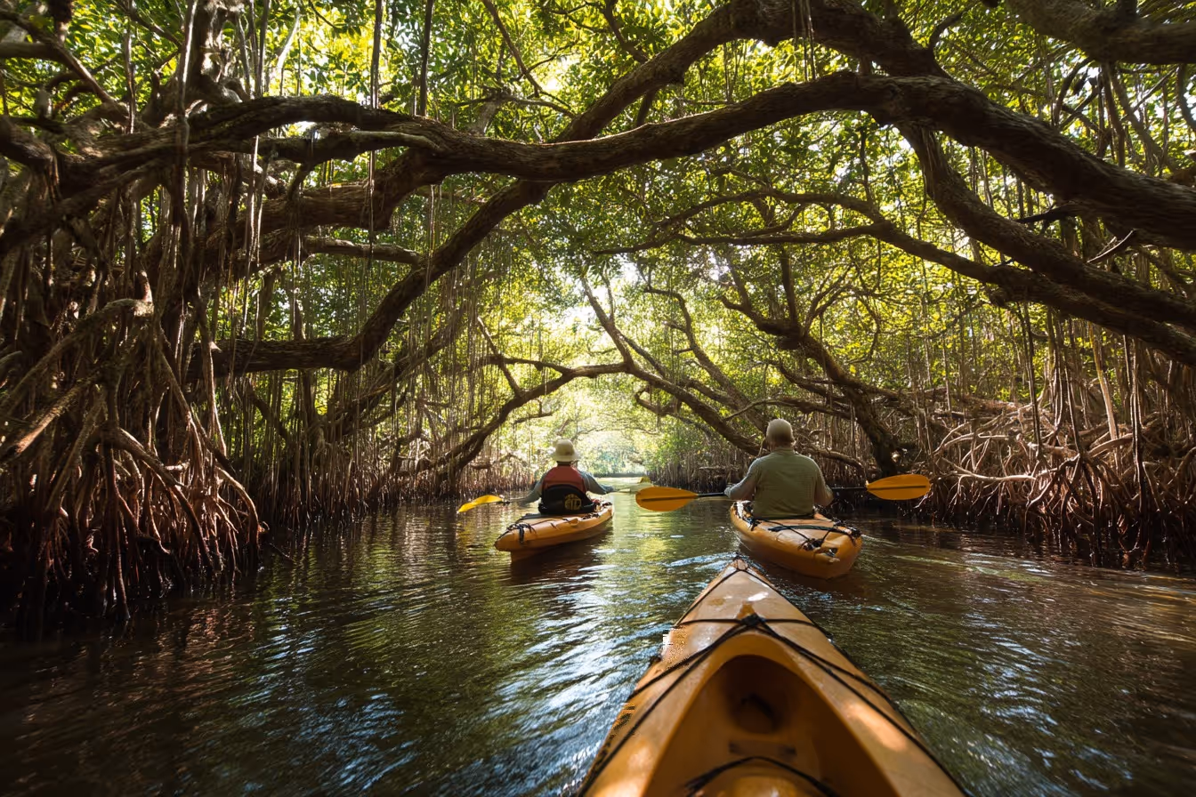 Everglades Mangrove Tunnel Kayak Eco-Tour