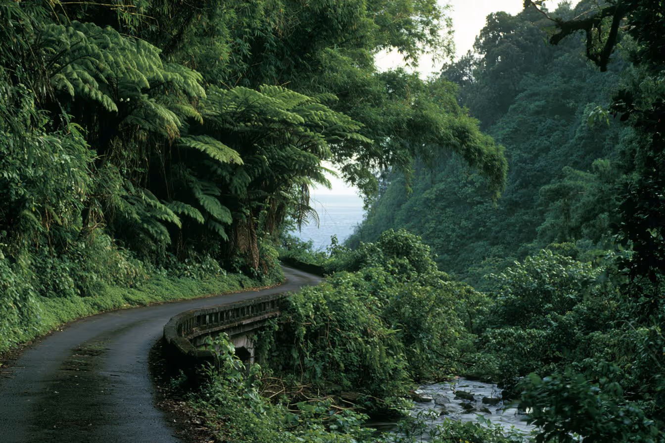 Maui: Small-Group Road to Hana Sightseeing Tour