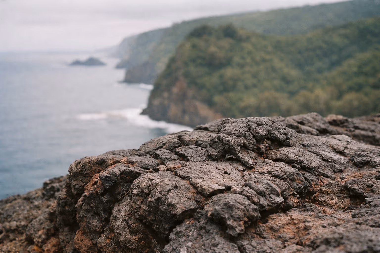 Close-up of dark volcanic rocks with a coastal cliff and ocean in the background