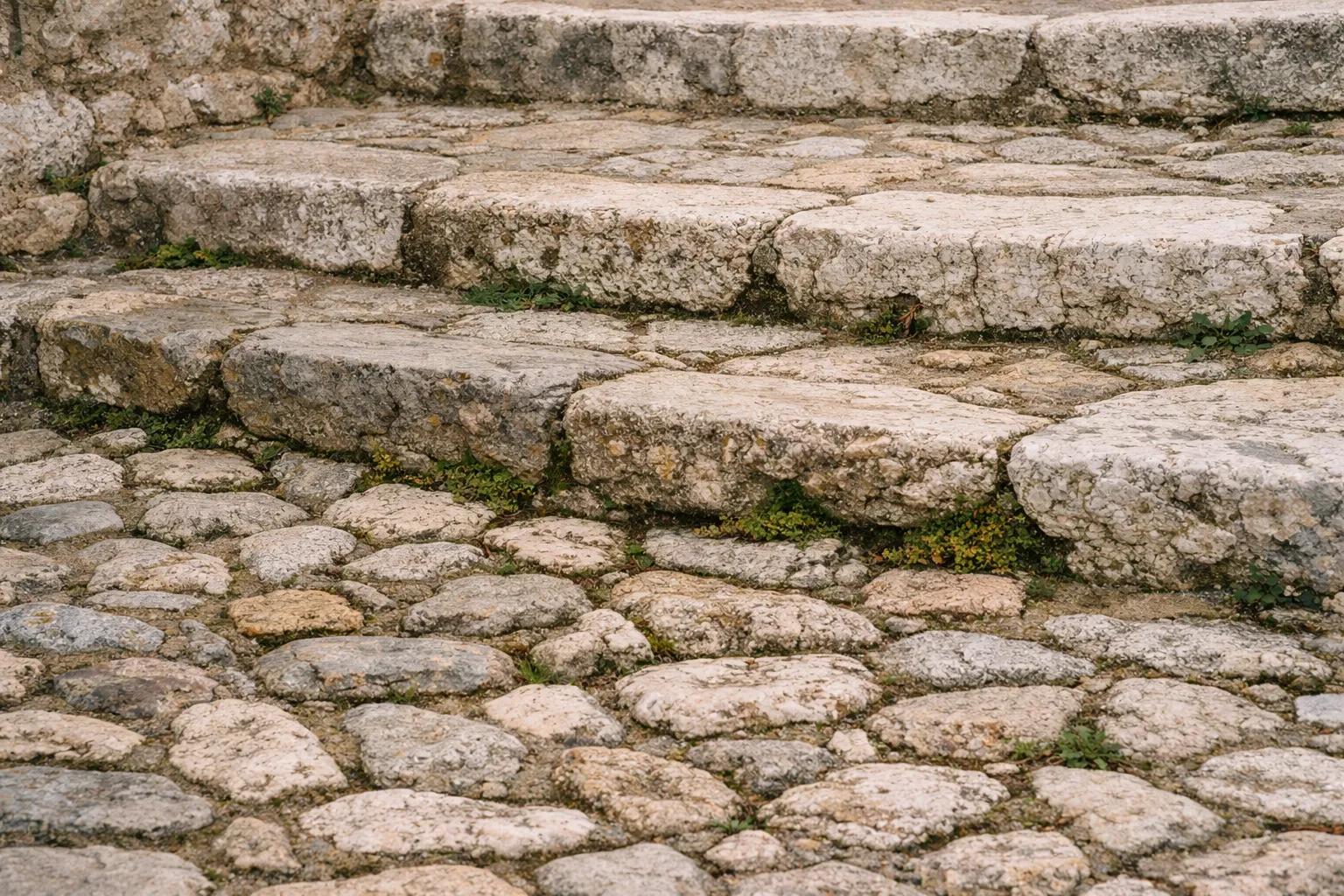 Worn stone steps and a cobblestone path with patches of greenery growing between the stones.
