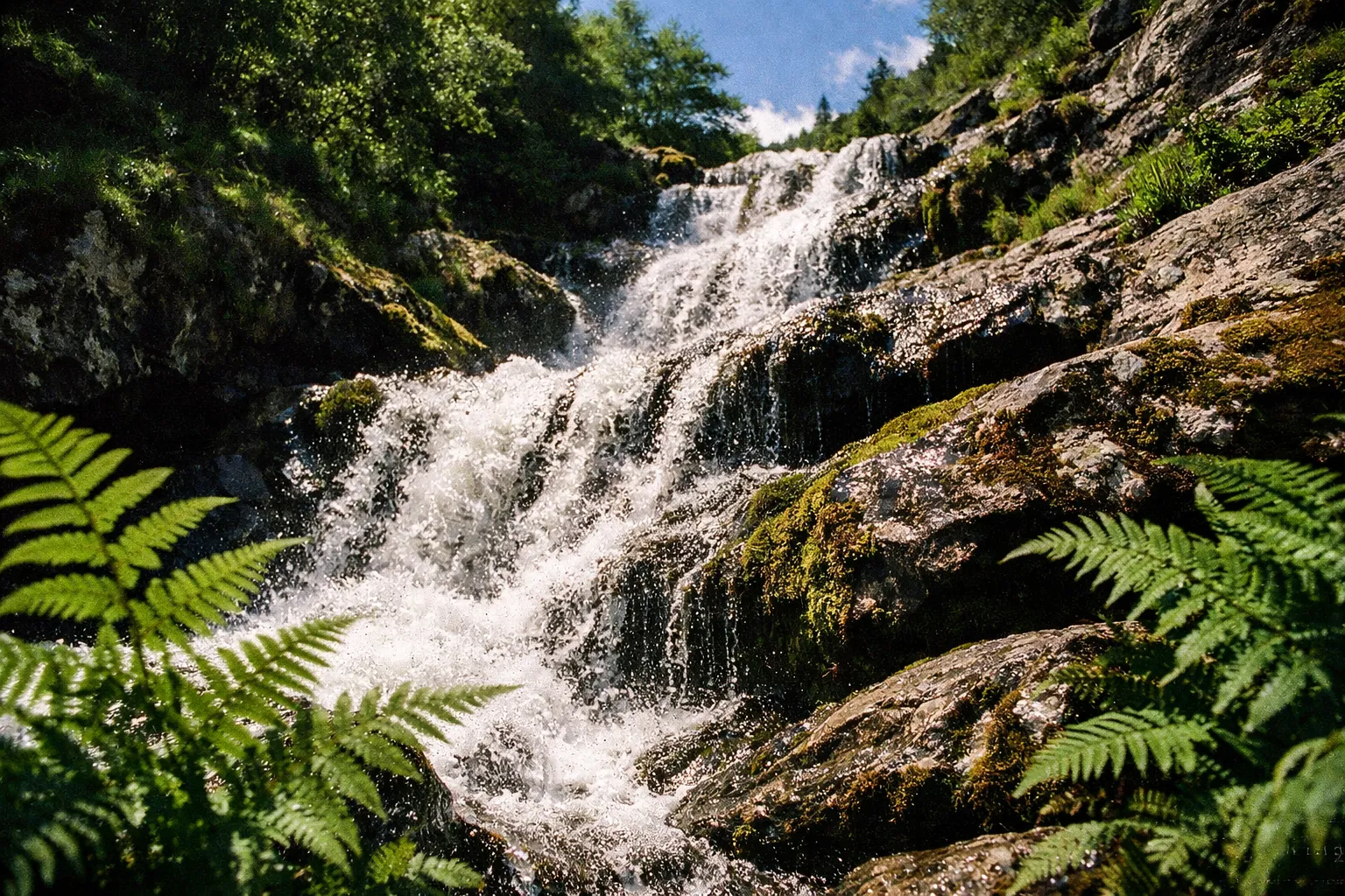 A waterfall flows over mossy rocks surrounded by lush green foliage under a blue sky.