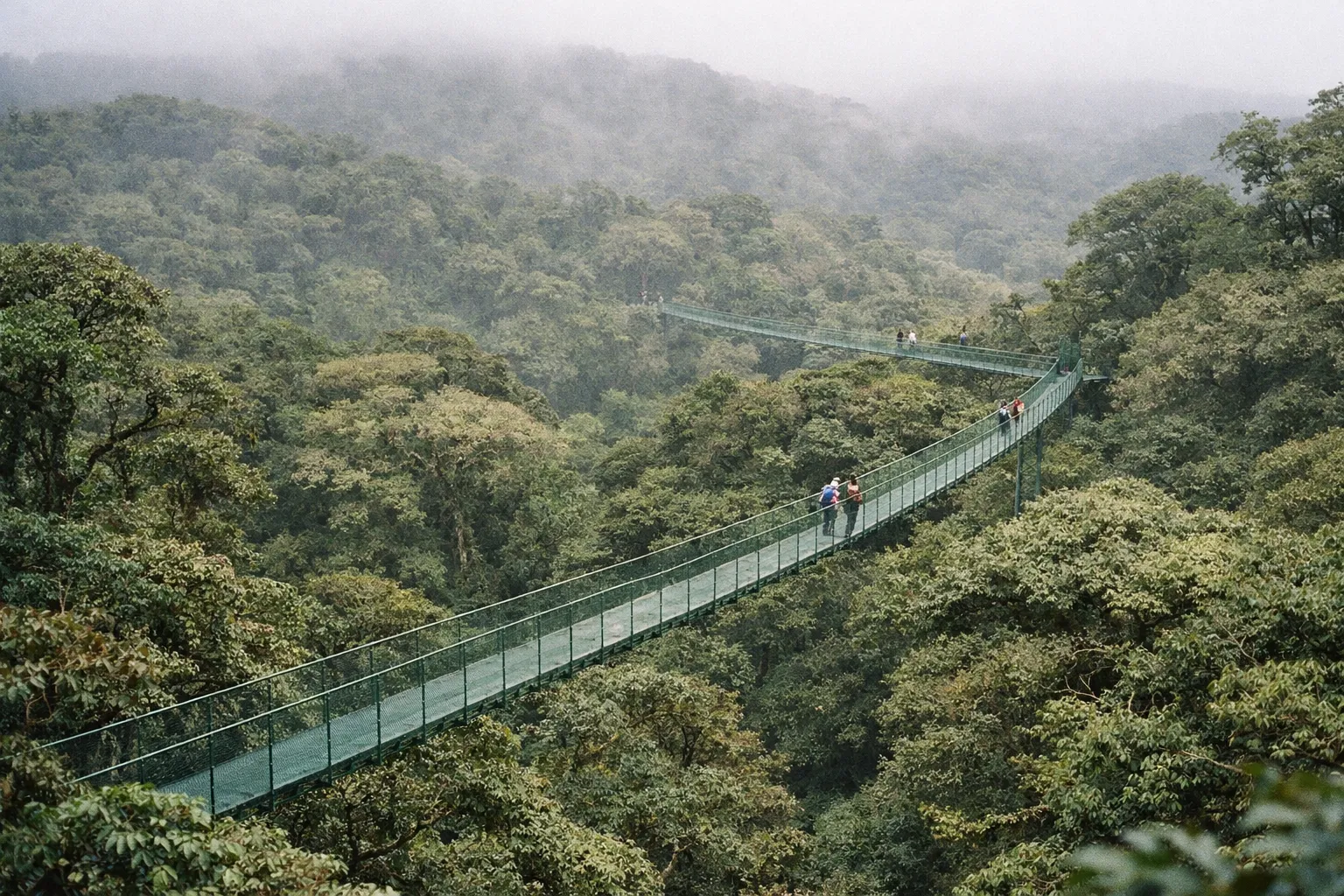 People walk on a long hanging bridge above the forest canopy in the Monteverde Cloud Forest, Costa Rica.