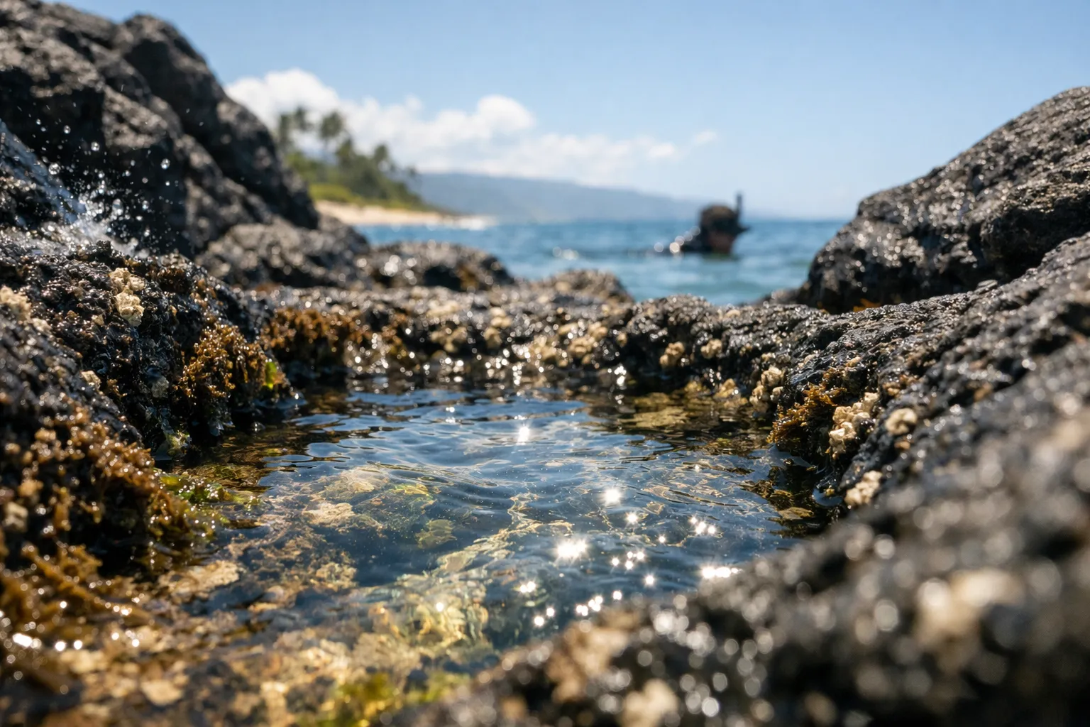 Tide pools among volcanic rocks on a North Shore Oahu beach with a snorkeler in the water.