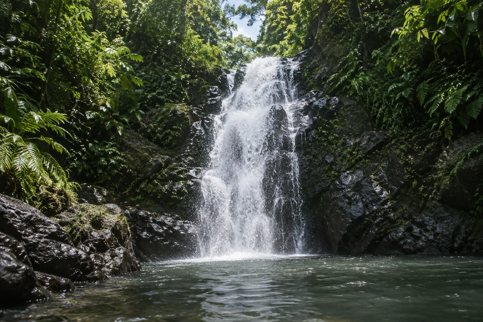 A waterfall pours into a pool beneath dense tropical forest.