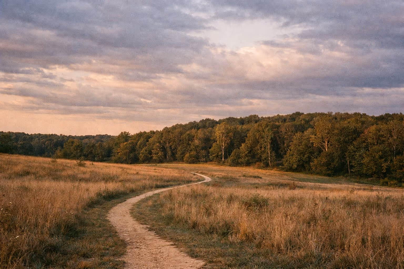 Panoramic golden-hour view of Okehocking Preserve with forest, meadow, and a winding trail