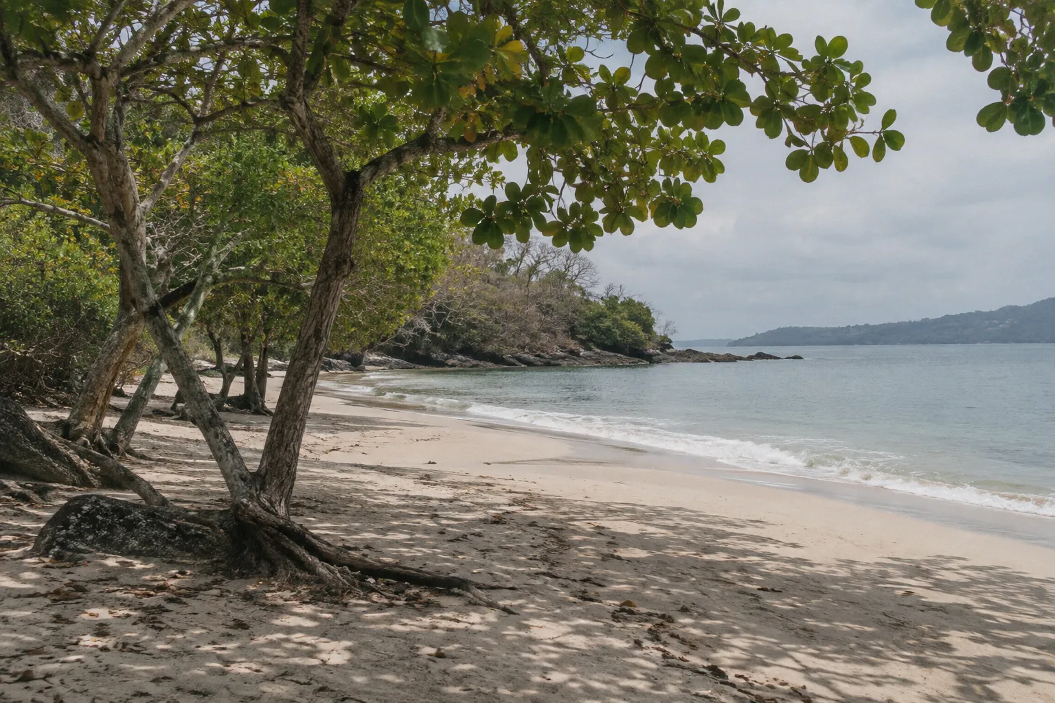 A quiet sandy beach shaded by coastal trees curves along calm water.