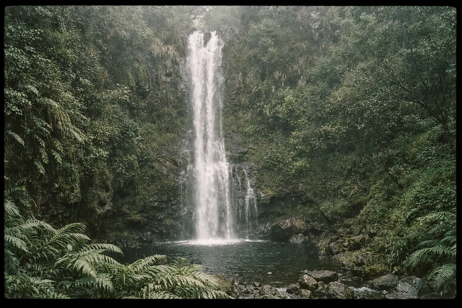 A tall waterfall cascades into a small pool surrounded by dense green vegetation and rocky terrain.