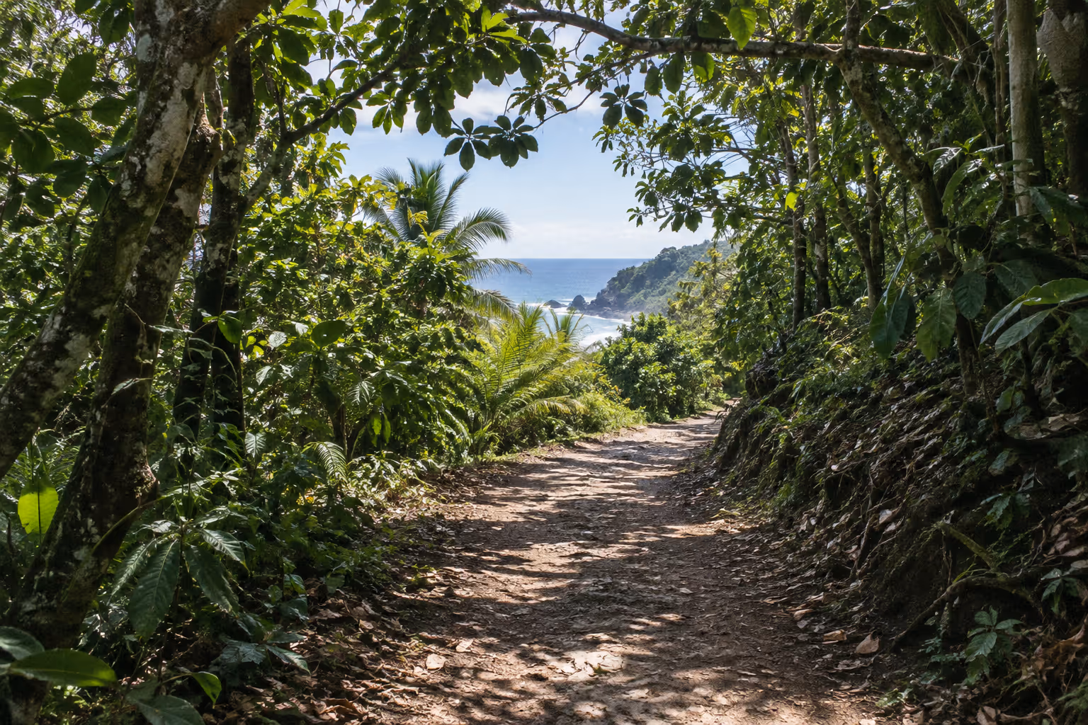 A forest trail leads toward a tropical beach and the ocean.
