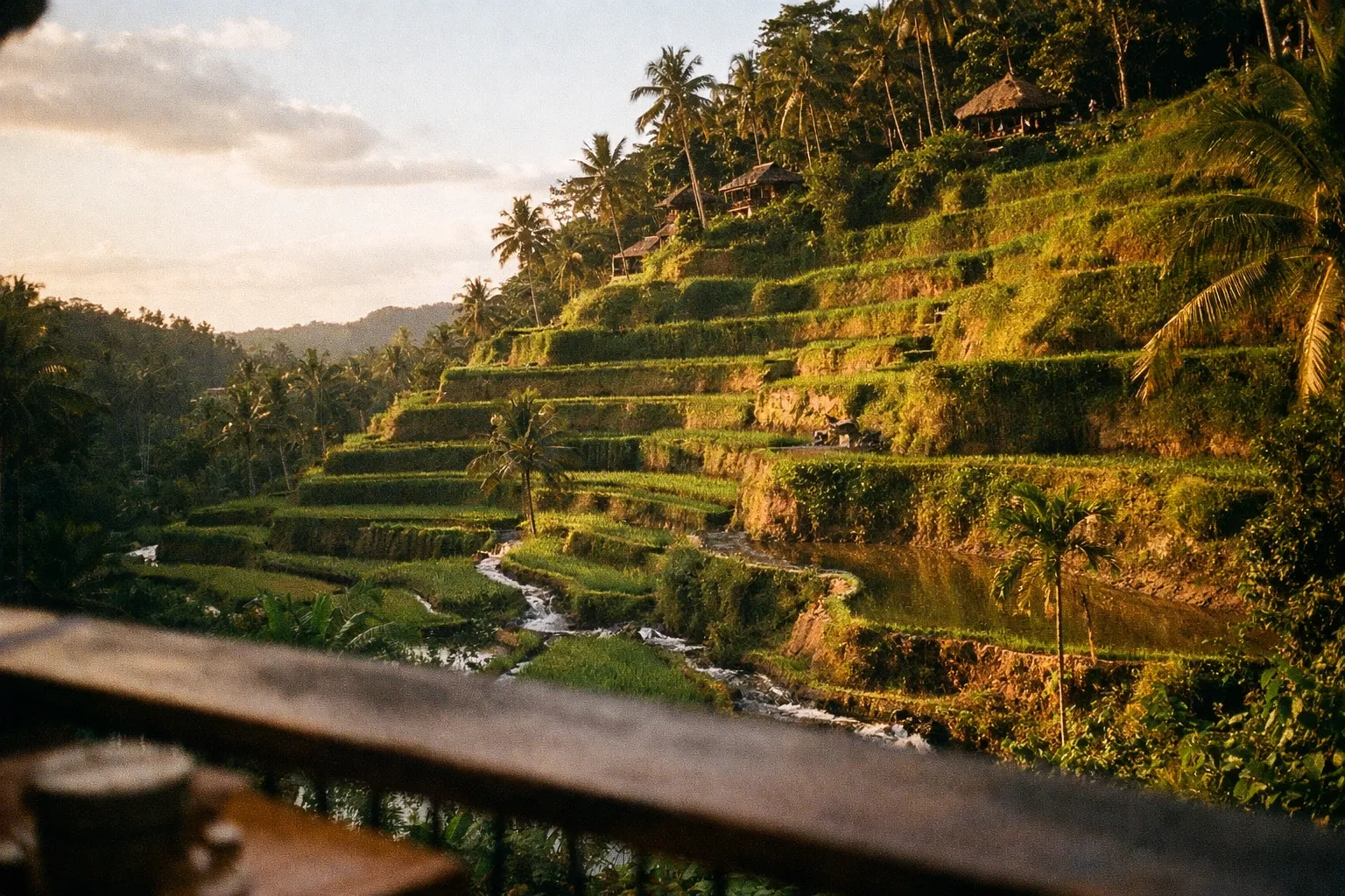 The Tegallalang rice terraces in Bali with lush green steps and palm trees at sunset.