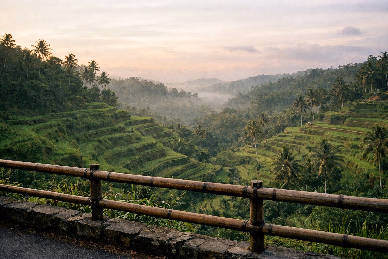 Terraced green rice fields of Tegallalang in Bali viewed from behind a bamboo fence at sunrise.