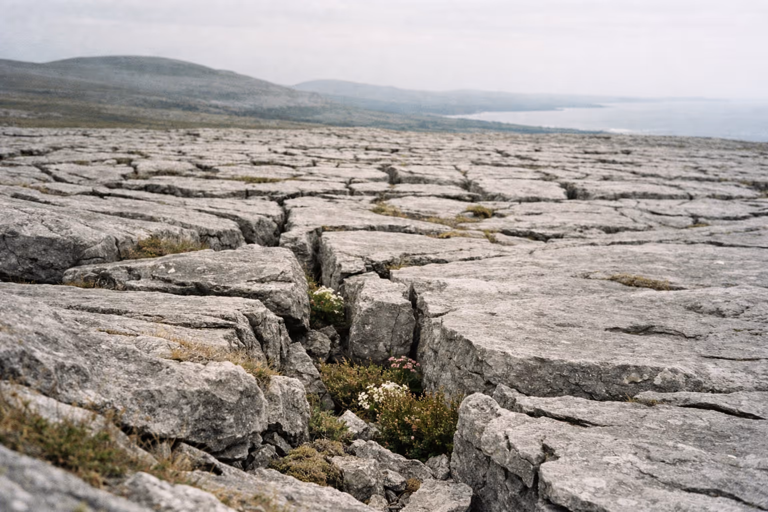 Limestone pavement with deep cracks and sparse plants at the Burren, with hills and coastline in the background.