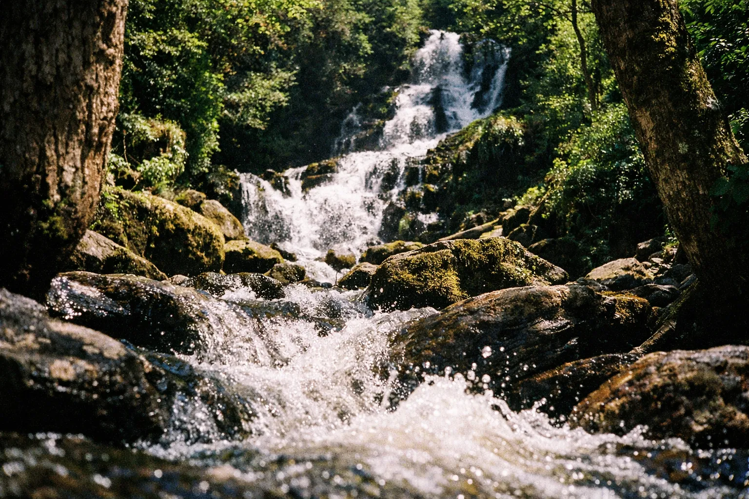 A multi-tiered waterfall cascades over mossy rocks surrounded by lush green forest.