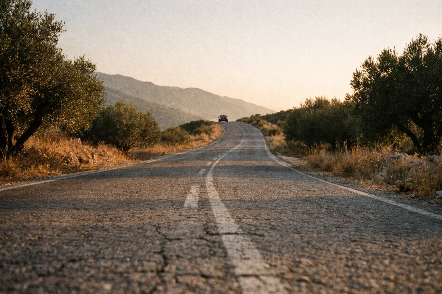 A car drives along a rural road lined with olive trees and hills in the background.