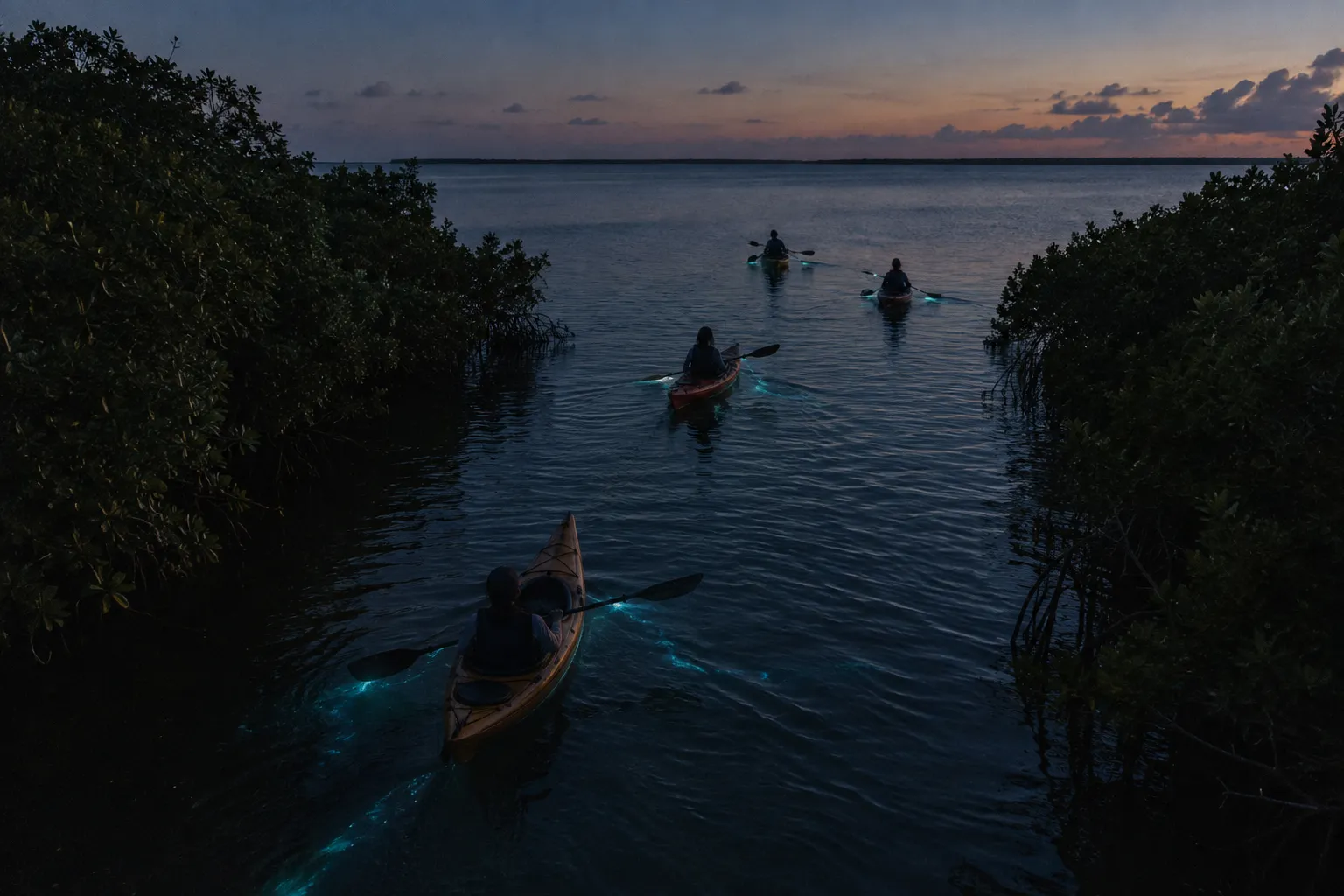 Kayakers paddle through glowing water between mangroves at dusk in Fajardo's Laguna Grande.