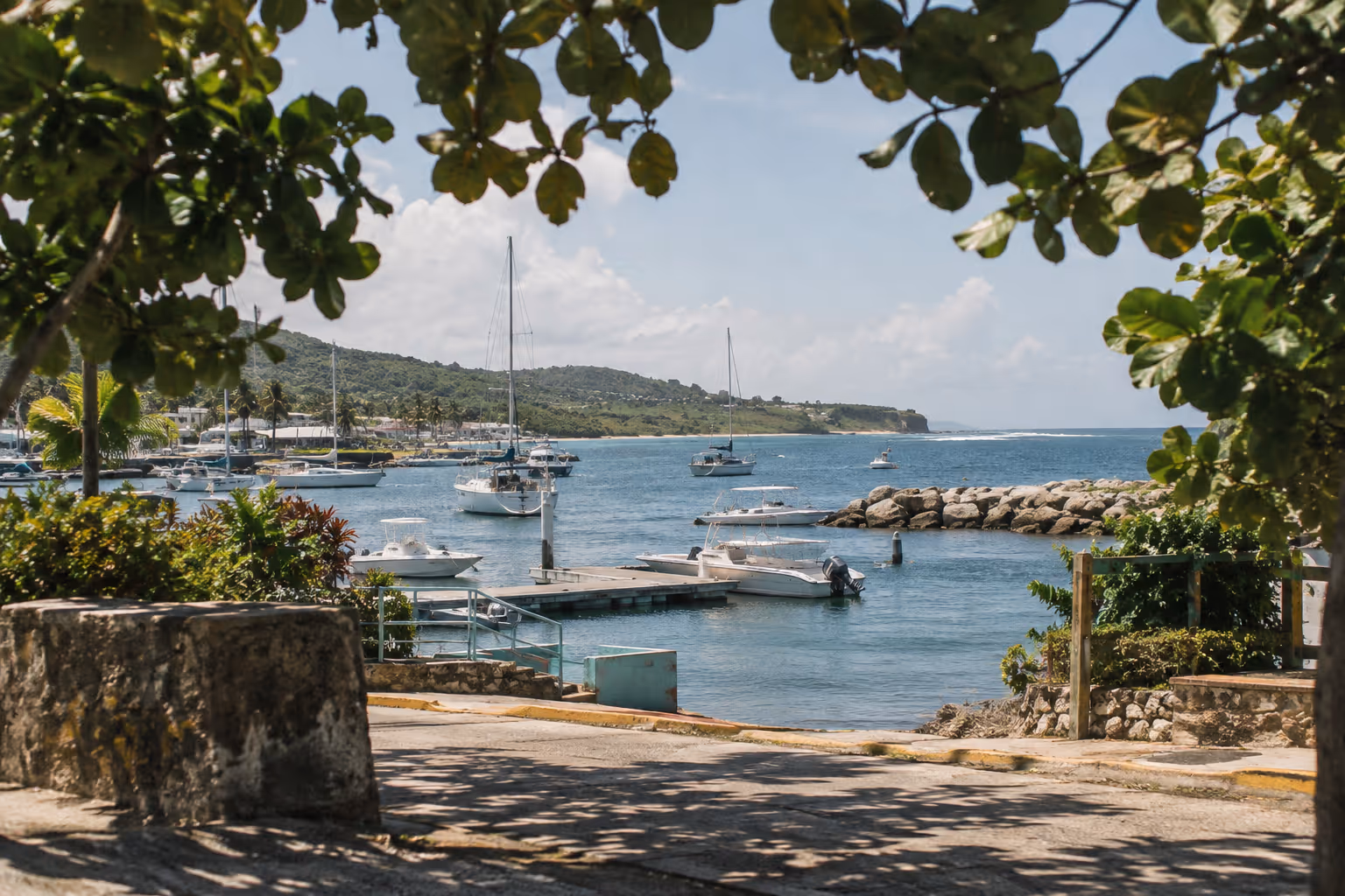 Sailboats and motorboats fill a marina along a green coastline in Fajardo, Puerto Rico.