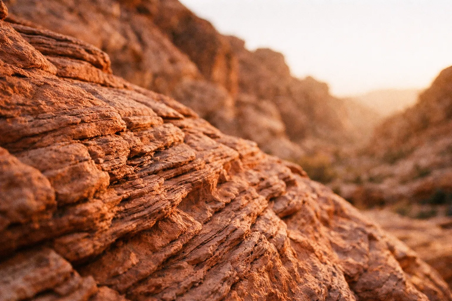 Layered red rocks in a desert canyon under warm sunlight.