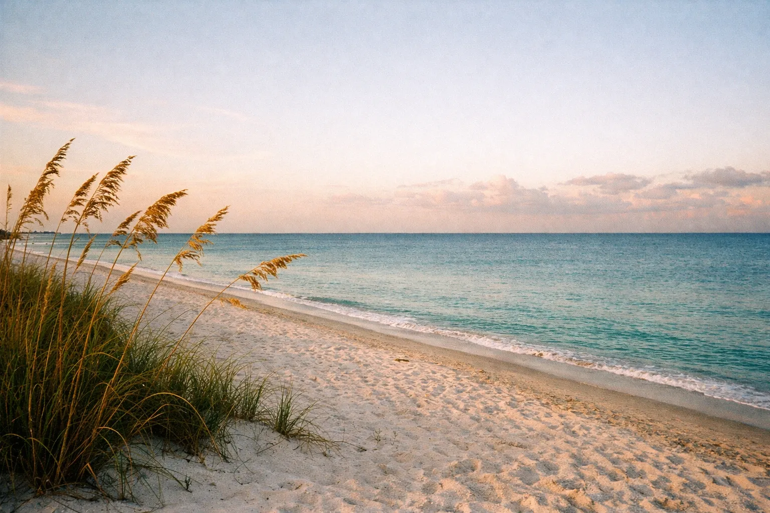 Sunlit Naples beach at golden hour with sea oats foreground and calm Gulf in the distance