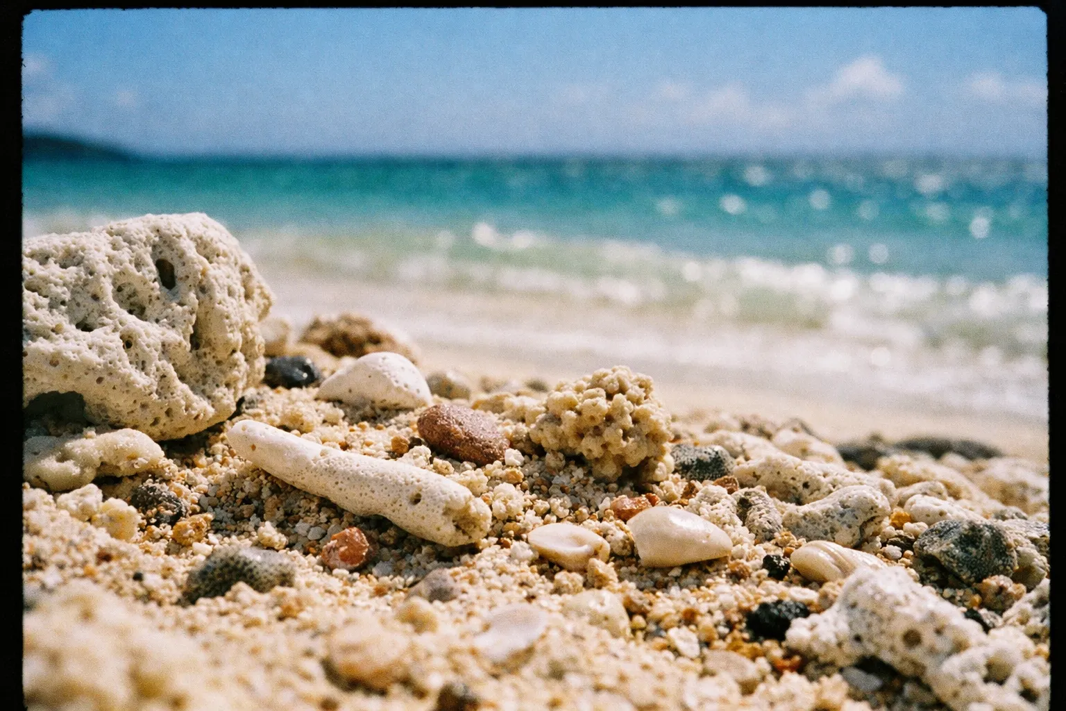 Coral fragments and shells scattered on a sandy beach near turquoise ocean waves.