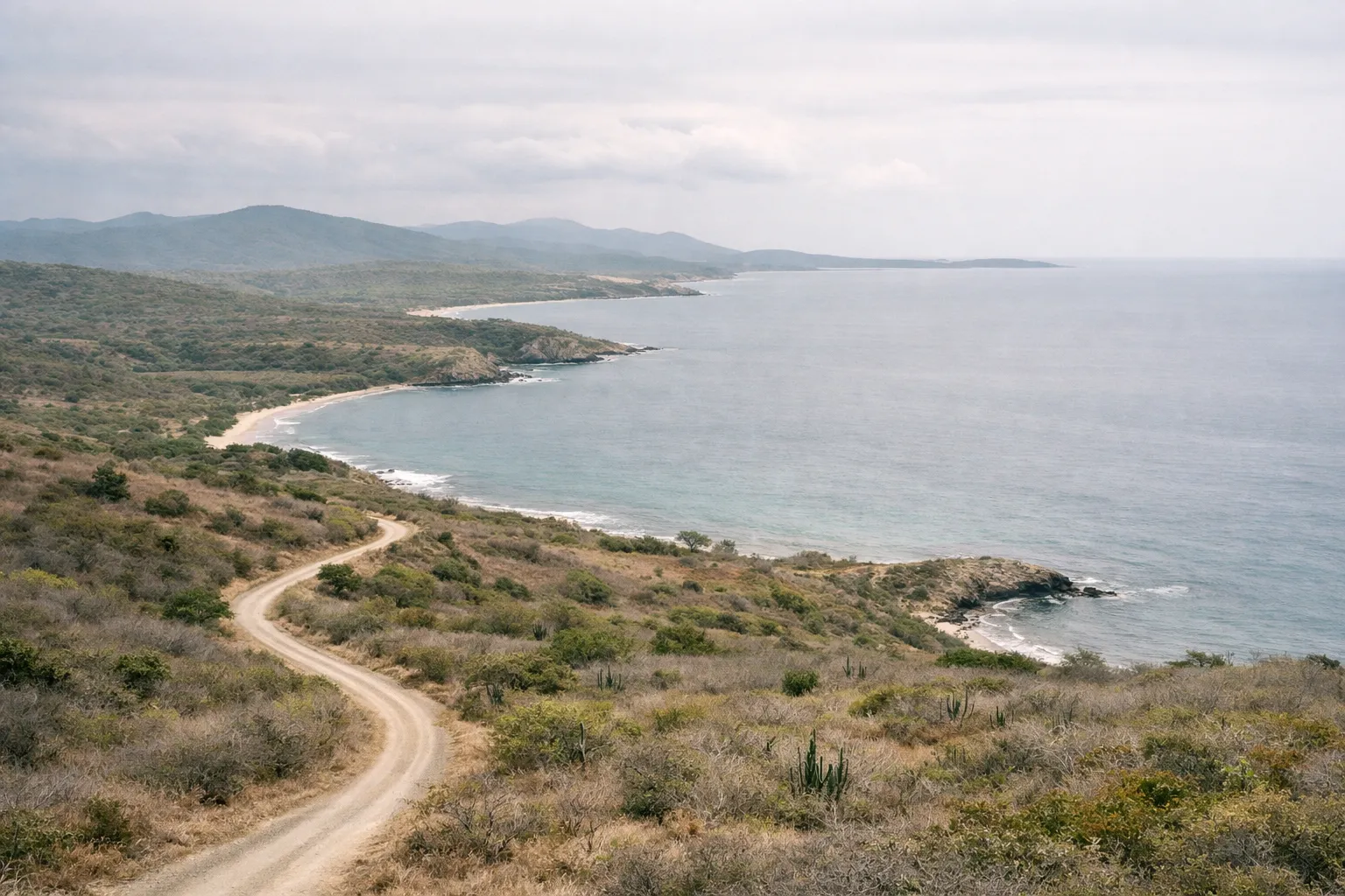 A winding dirt road leads through dry shrubs to a quiet coastline with hills and ocean in the distance.