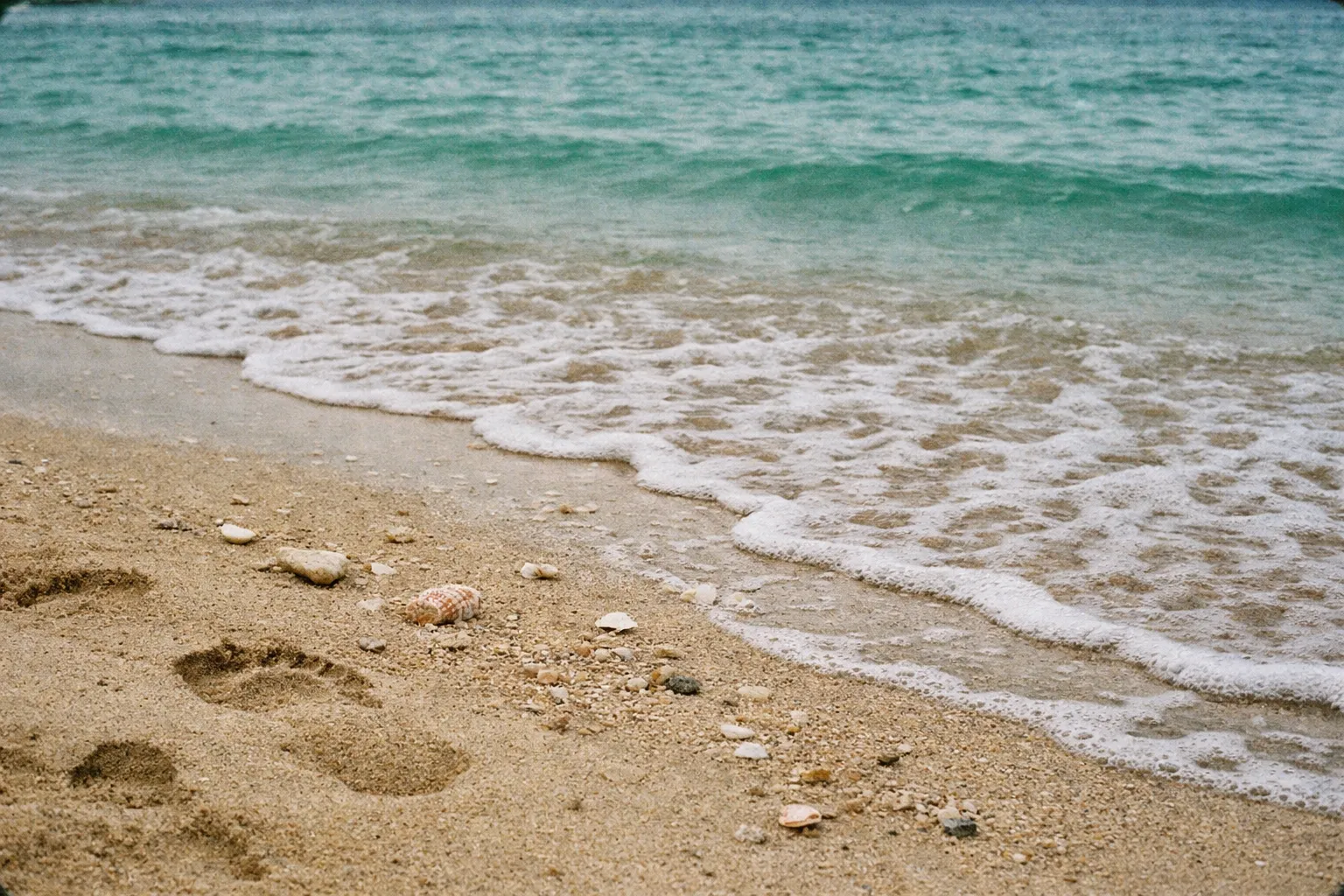 Gentle ocean waves wash onto a sandy beach dotted with footprints and seashells.