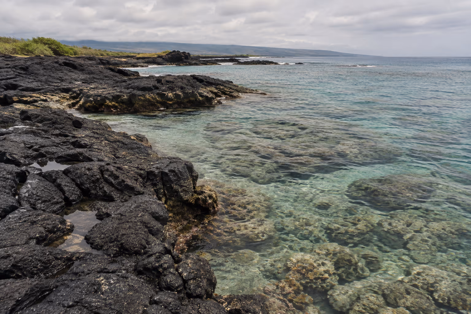 A rocky Hawaiian shoreline borders clear, shallow ocean water.