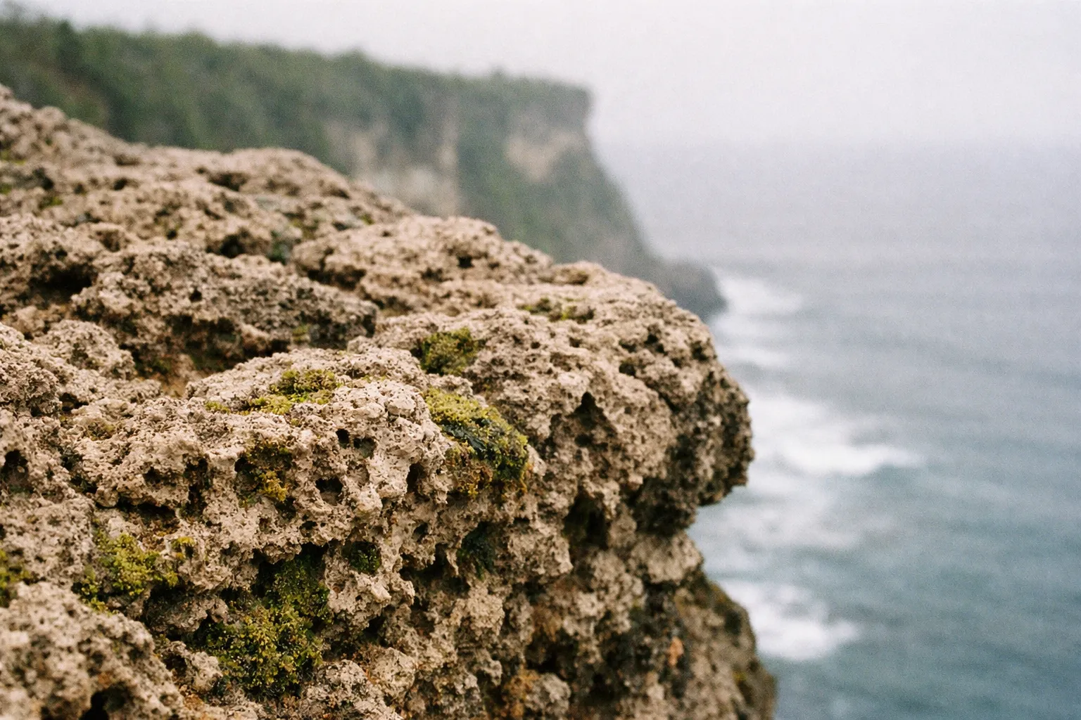 Rocky cliff with patches of moss overlooking the ocean on a misty day.