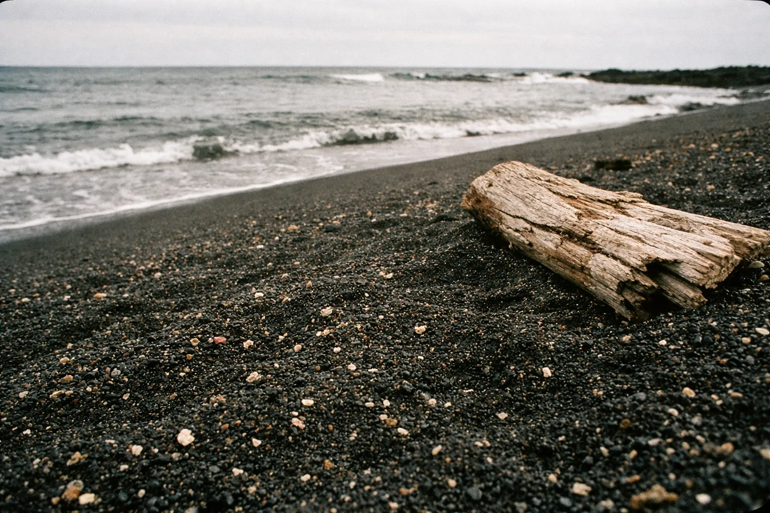 A piece of driftwood rests on the black sand near the shoreline of a beach with gentle waves.