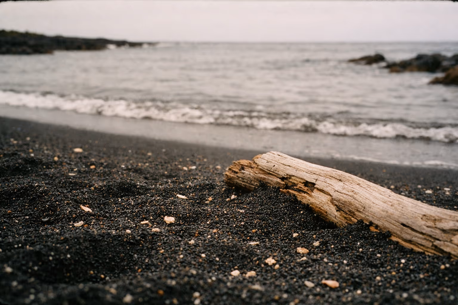 A piece of driftwood rests on the black sand near the shoreline at Punaluʻu Black Sand Beach.