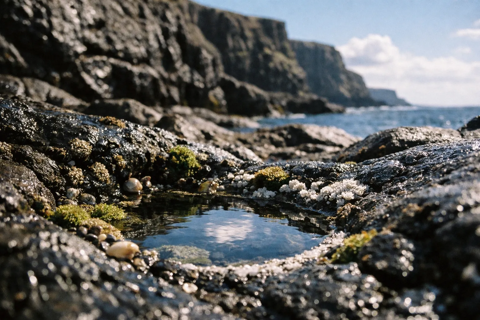 A tide pool with sea life surrounded by black rocks along rugged coastal cliffs and ocean on the Wild Atlantic Way.