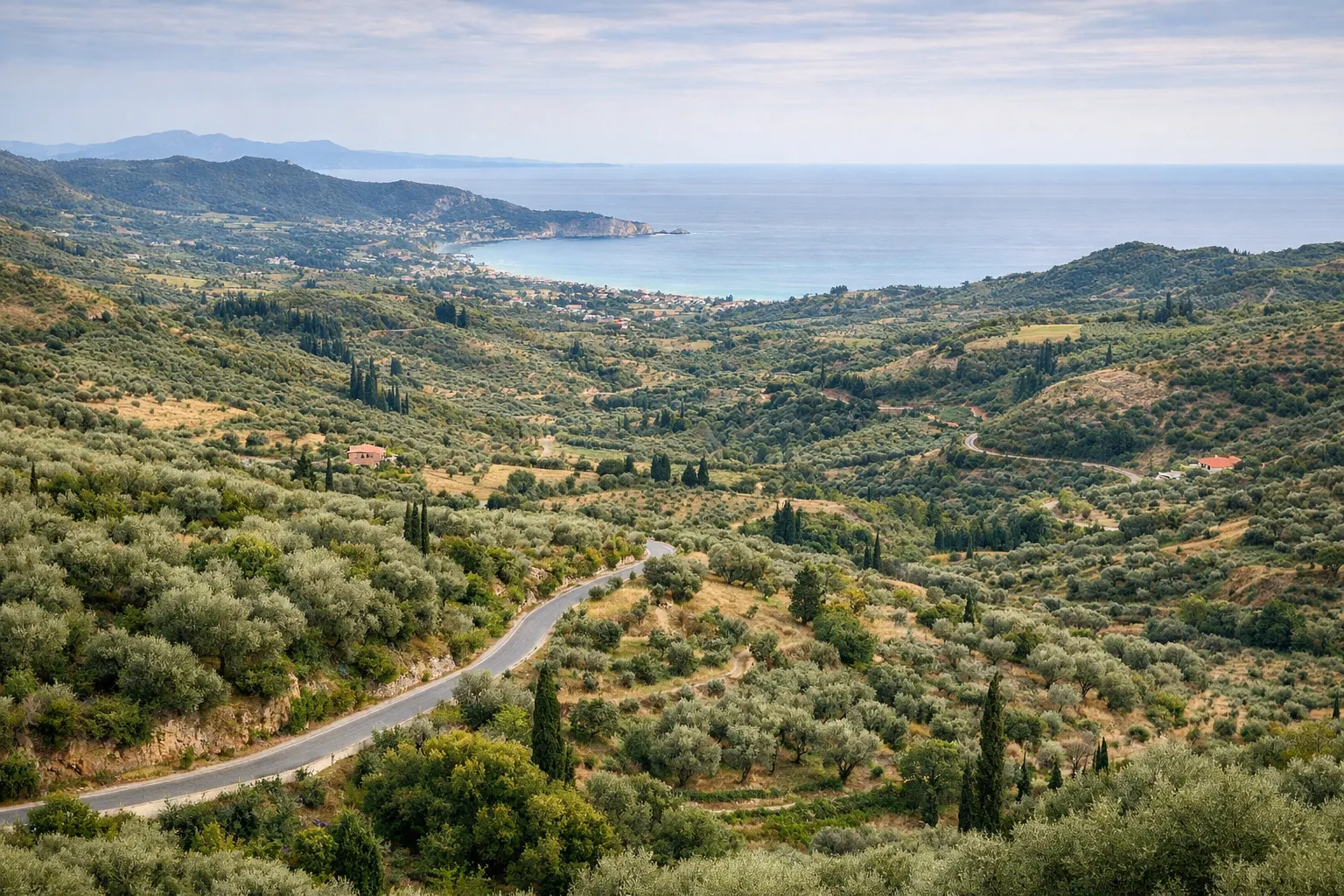 Winding road through olive groves with a coastal village and sea in the distance on Zakynthos island, Greece.