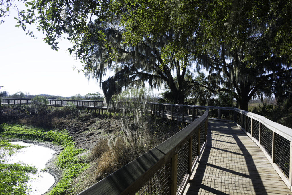 Boardwalk at Paynes Prairie State Park in Gainesville, Florida.
