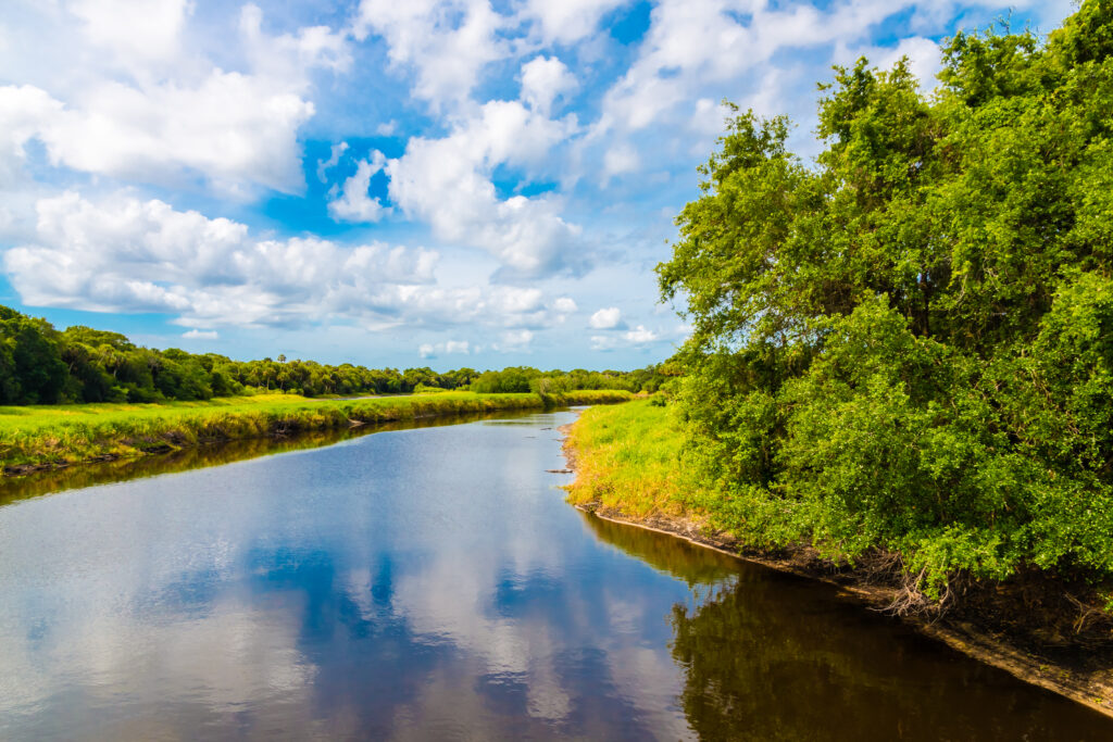Myakka River State Park - Sarasota, Florida, USA