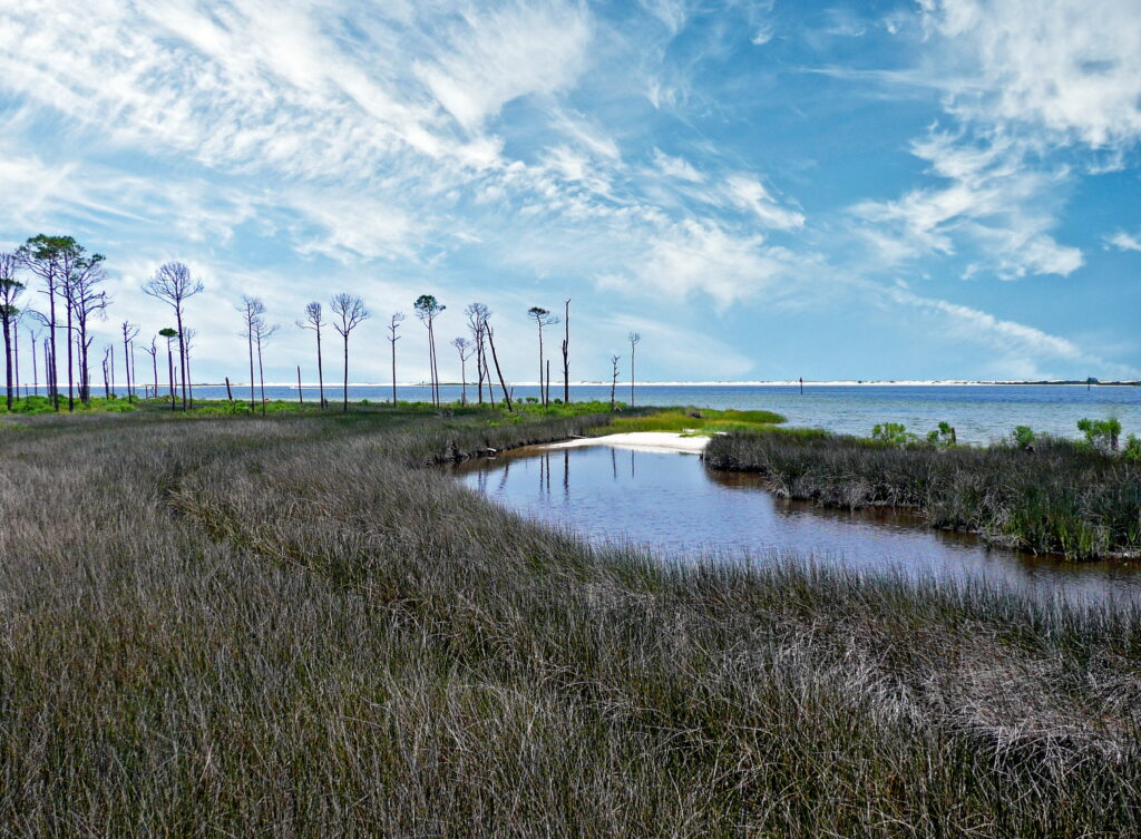 Big Lagoon State Park - Pensacola, Florida