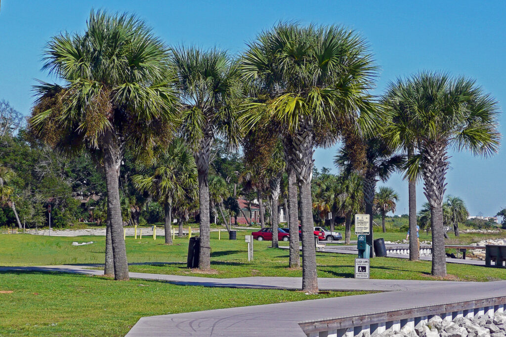 Sanders Beach - Pensacola, Florida