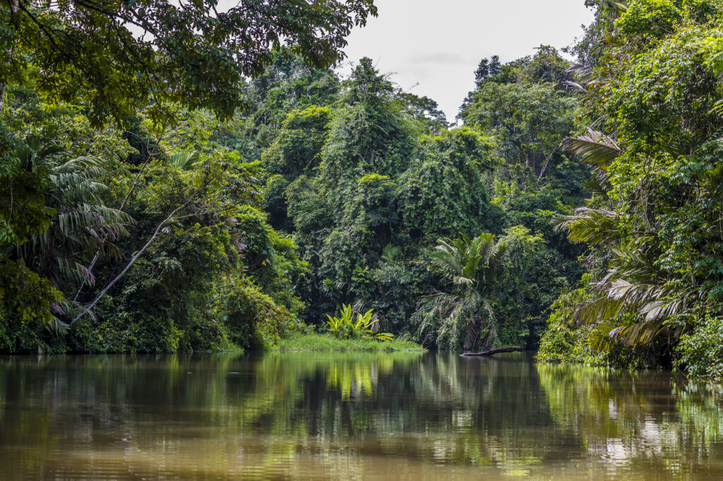 Tortuguero River, Tortuguero National Park, Costa Rica